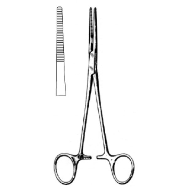 Artery Forceps (N-25977)