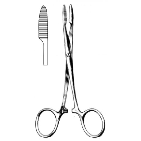 Artery Forceps (N-26031)