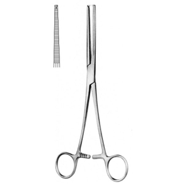 Artery Forceps (N-26076)