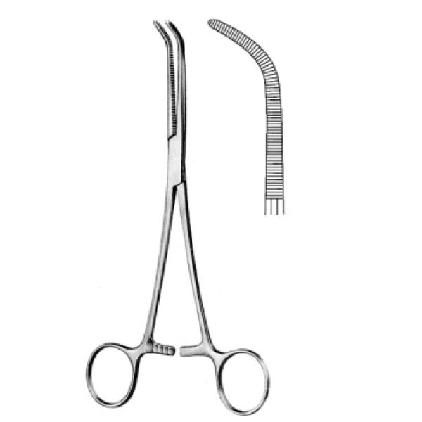 Artery Forceps (N-26234)