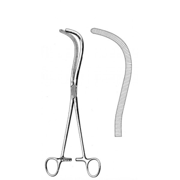 Artery Forceps (N-26244)