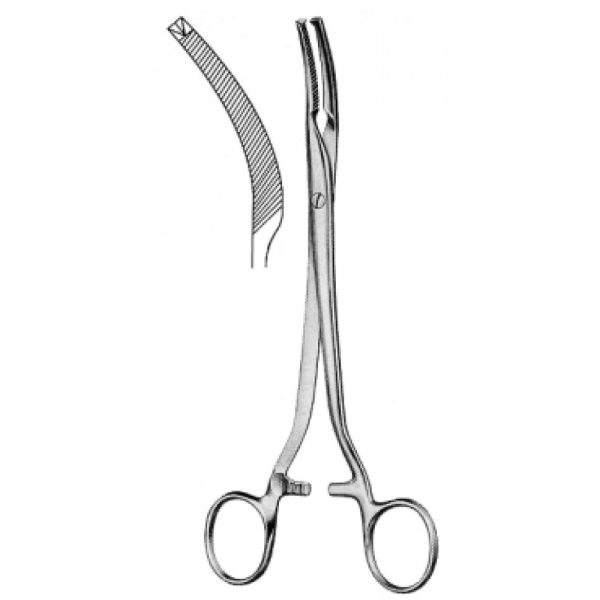 Artery Forceps (N-26262)