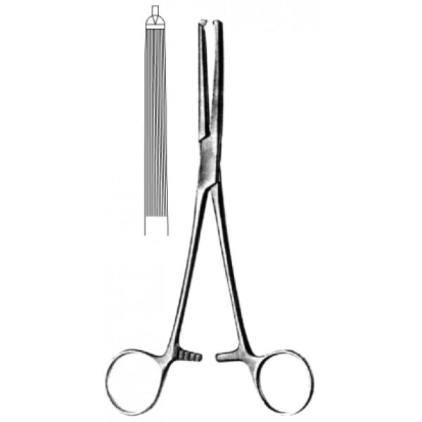Artery Forceps (N-26275)