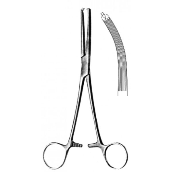 Artery Forceps (N-26276)