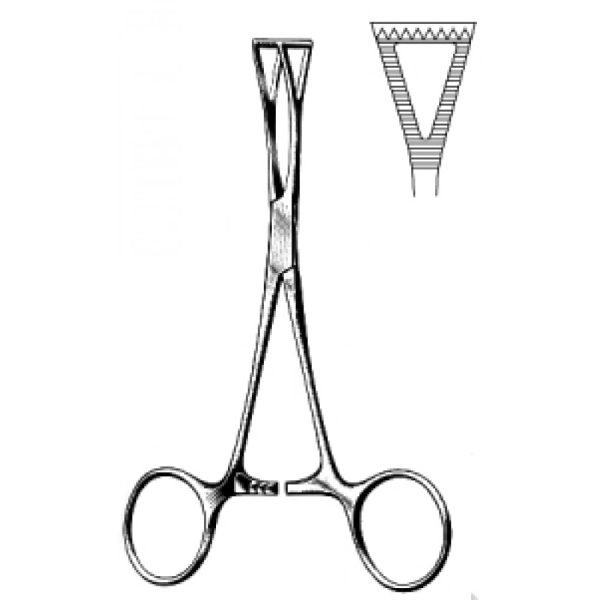 Artery Forceps (N-26318)