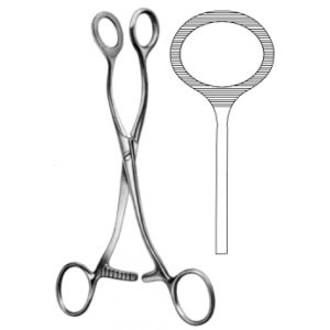 Artery Forceps (N-26326)