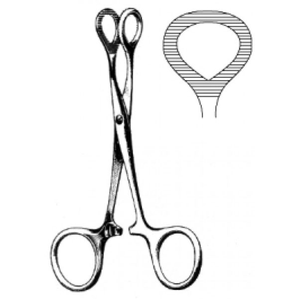 Artery Forceps (N-26328)
