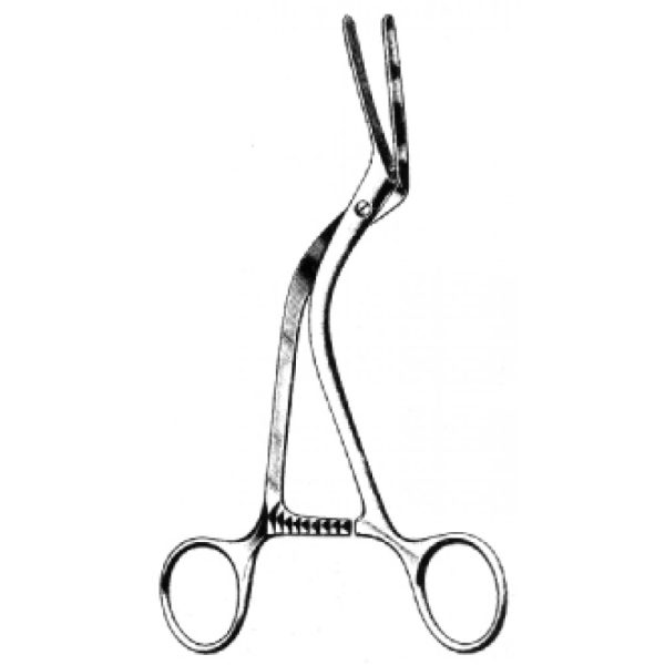 Artery Forceps (N-26329)