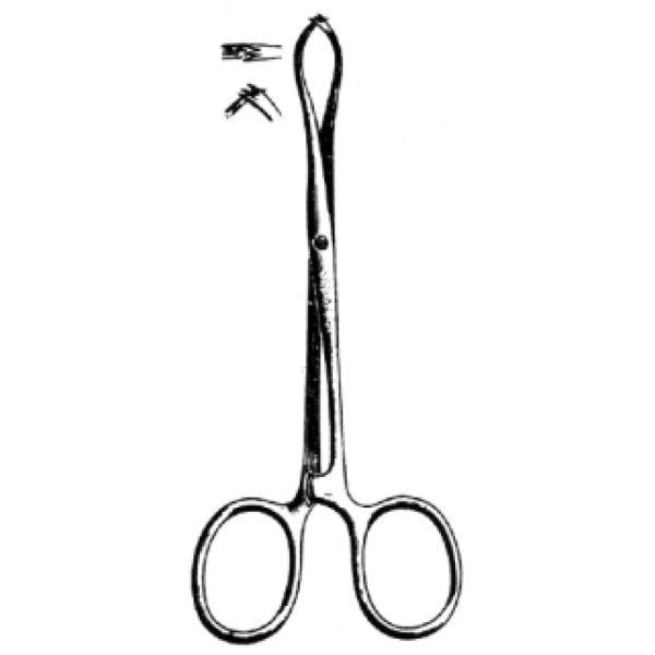 Artery Forceps (N-26332)