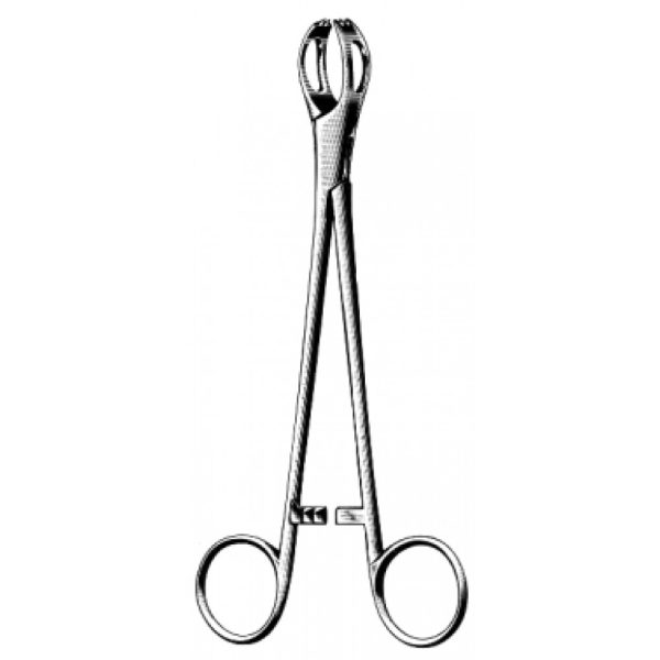 Artery Forceps (N-26337)