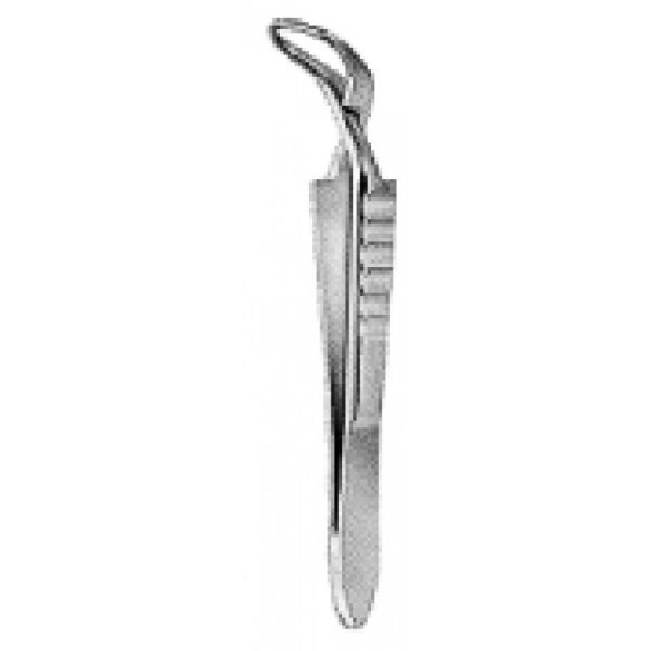 Artery Forceps (N-26362)