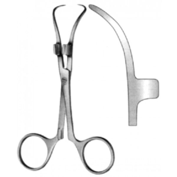 Artery Forceps (N-26376)