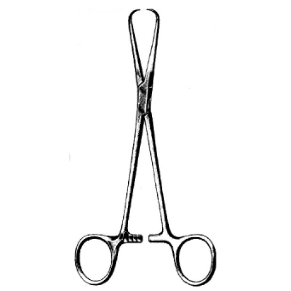 Artery Forceps (N-26379)