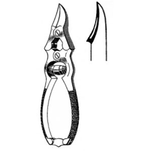 Asepsis (N-26411)