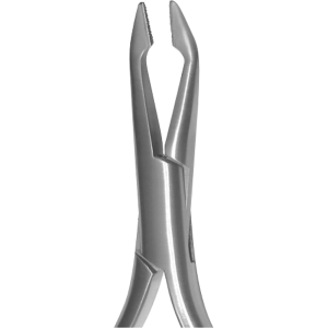Utility Weingart, Regular