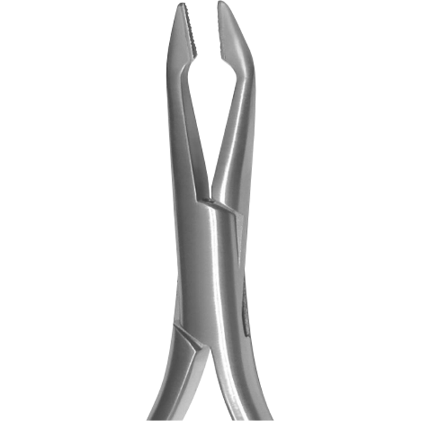 Utility Weingart, Regular