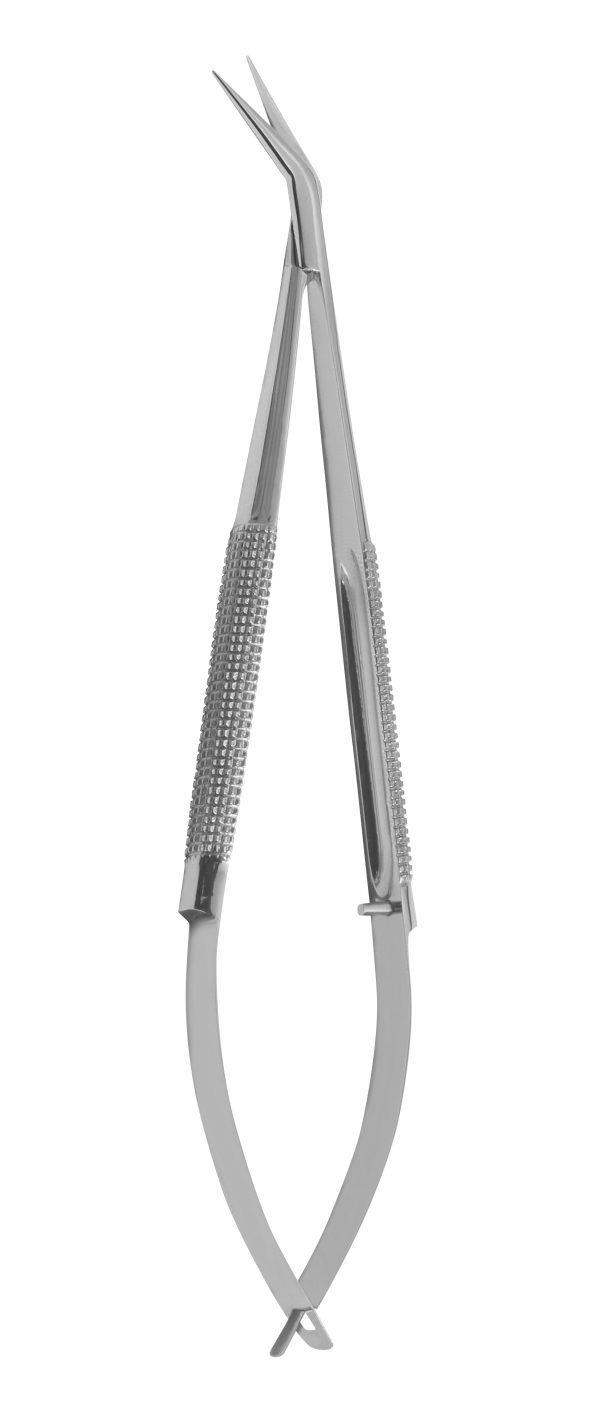 n-1187_pimg1.jpg Castroveijo Scissor Curved