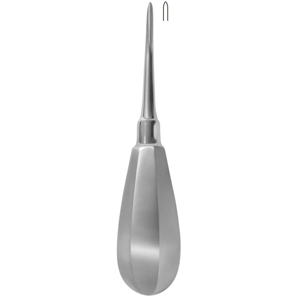 Bein (2mm)