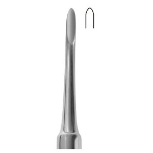 Bein (4mm)