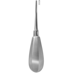 Bein (2mm)