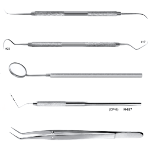 Dental Examination Set (5 Instruments)