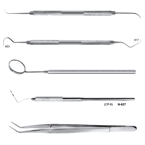 Dental Examination Set (5 Instruments)